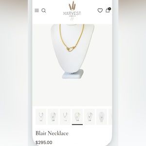 BRAND NEW NEVER WORN HARVEST 17.5" 3mm light grey suede necklace.